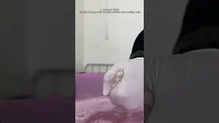 Damp Dusting Procedure For CNA