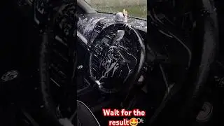DIY Car interior wash #automobile #diy #carinteriorcleaning #carwash #interiorwash #car #ytshorts