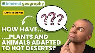How have plants and animals adapted to hot deserts?