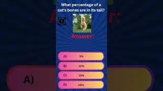 Test your cat trivia knowledge!  #catfacts #cattrivia #cat #quiz