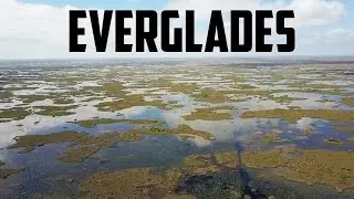 FLORIDA EVERGLADES AIRBOAT TOUR! - and other Outdoor Activities to do in Miami!