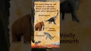 🦕 Are Woolly Mammoth Dinosaurs? | Fun Dinosaur Trivia For Kids!