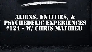 Aliens, Entities, & Psychedelic Experiences - #124 - Talking Stitt w/ Chris Mathieu 