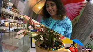 art n glam best nail art studio in tricity mohali #youtube #you #tube