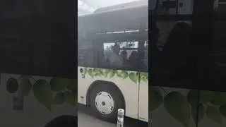Автобус 21.#7141.
