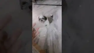 #My cute dog is upset from me 😔😔 but 🤩🤩