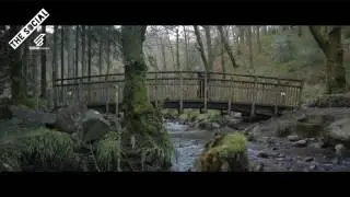 Shooting in the wild - Aberfoyle Forest