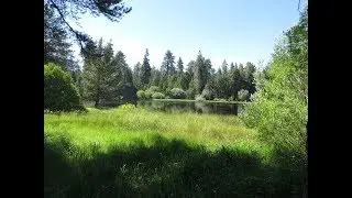 Bluff Lake Reserve