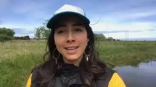 Exploring a Coastal Wetland at Freshwater Farms Reserve