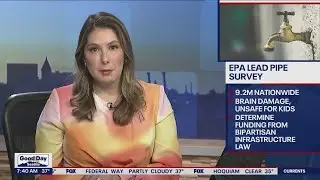 EPA: 9.2 million lead pipes found in homes across the U.S. | FOX 13 Seattle