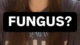 Axolotl Fungus