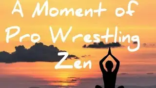 A Moment of Pro Wrestling Zen #ProWrestlingFails