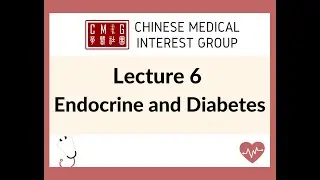 Lecture 6 Endocrine and Diabetes