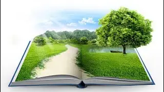 Environment Ethics- Deep Ecology & Ecofeminism