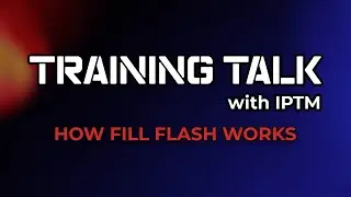 How to Use Fill Flash: Photography Tips for Clear, Balanced Images