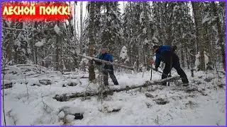 ВЫВОЗИМ ИЗ ЛЕСА МЕТАЛЛОЛОМ! РЕЗУЛЬТАТ НАС ПОРАДОВАЛ!