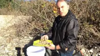 AMRA   Gold Claw Dry Panning