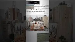 Violeta Ayala - Consumer Choices - Disconnection - Amazon Crisis #NobleBlocks #shorts #shortvideo
