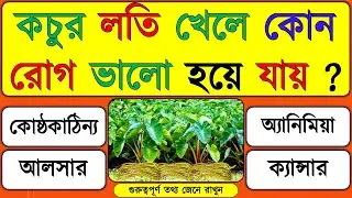কচুর লতি খেলে কোন রোগ ভালো হয়ে যায় | GK Quiz | Bangla Quiz || GK Question Answer | Mojar GK