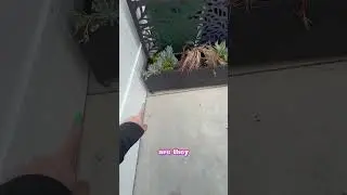 Easy Way To Add Plants And Privacy To Your Patio!