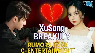 🔥 Xu Kai & Tan Songyun Breakup Rumors? The Truth Behind the XuSong Storm!