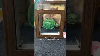 Do you like my mini 3D glass painting?🥰Rating 1~99✨ #turtle #turtletok #portrait #petlover