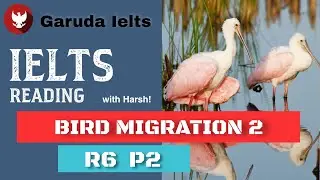 R6P2 || Bird migration 2 ielts reading answers and discussion