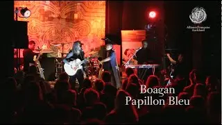 Boagan - Papillon Bleu