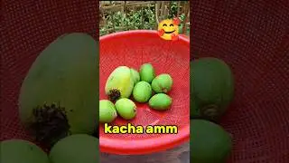kacha amm ~made  masala pises #shorts #kacham amm #made #spices