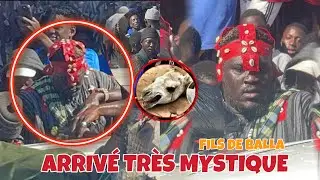 ‼️ALAKHOU Akbar Arrivée très mystique de Fils de Balla-Xolal Limou def si porte stade bi Ho grawna