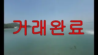 [거래완료] 전남 완도군 신지면 완경사 임야매매 바다조망 토지급매매 별장용지급매물 영림용지매도 야산매각 지하수 나옴 면적:26,181㎡ 부동산직거래