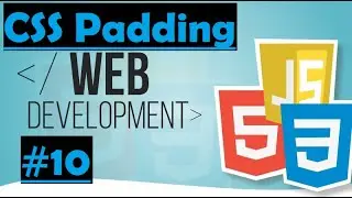 CSS, beginner to pro - #10 Padding property