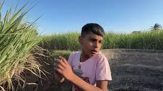 उसाच्या बांधावरून येताना माऊलीवर अचानक हल्ला 😳