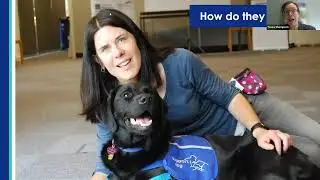 How Support Dogs Can Change Your Life - brainstrust Brain Tumour Support Webinar (May 2025)