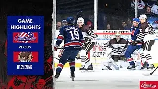Hershey Bears @ Rochester Americans | Game Highlights 01.28.2026