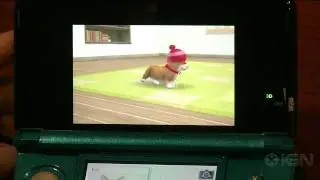 Nintendogs + Cats: Toy Poodle & New Friends - Incorrigible Corgi