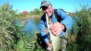choosing bait