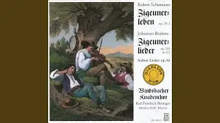 Zigeunerlieder, Op. 103 (Version for Choir & Piano) : No. 8, Horch, der Wind klagt in den...