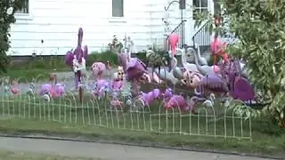 Second Flamingo Display of 2017 one angle.