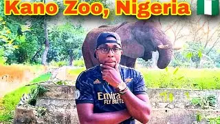 Exploring Kano Zoo, Nigeria 🇳🇬 ;-The Kenyan 🇰🇪 way #Kano #nigeriatourism #hausa