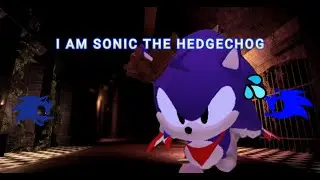 I am Sonic The Hedgechod-Outcome memories-