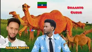 ABWAN TABIYE DHAANTADII QARNIGA  DHIIG OGADEN NEW VIDEO HD 2025