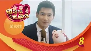Happy Chinese New Year 新年快乐 2019 - Elvin Ng 黄俊雄
