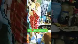 Dog 🐕 রানি চুমু খাবে তাই কোথায় উঠেছে দেখুন &hearts;️Live cut Funny dog 🌹 #shorts #dog #Youtubshorts #cute