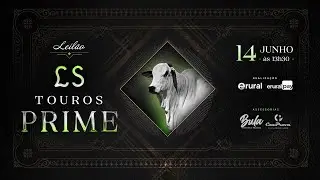 Leil&atilde;o LS Touros Prime