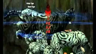 Tiger Girl Unique X_WizzPer_X server Ares iSro