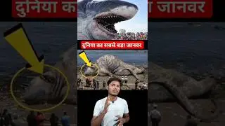 दुनिया का सबसे बड़ा जानवर | biggest animal in the world | Duniya ka sabse bada janwar |