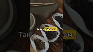 Состав чая. Дубильные вещества. Ч3 #tea #молодой #чай #цай #ча