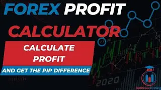 Forex Profit Calculator - How to Calculate Profit on Each Trade and Get Pip Difference