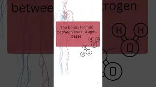 Can You Define This Life Science Terms| Grade 12 Biology #educationalvideo #viralshortsvideo